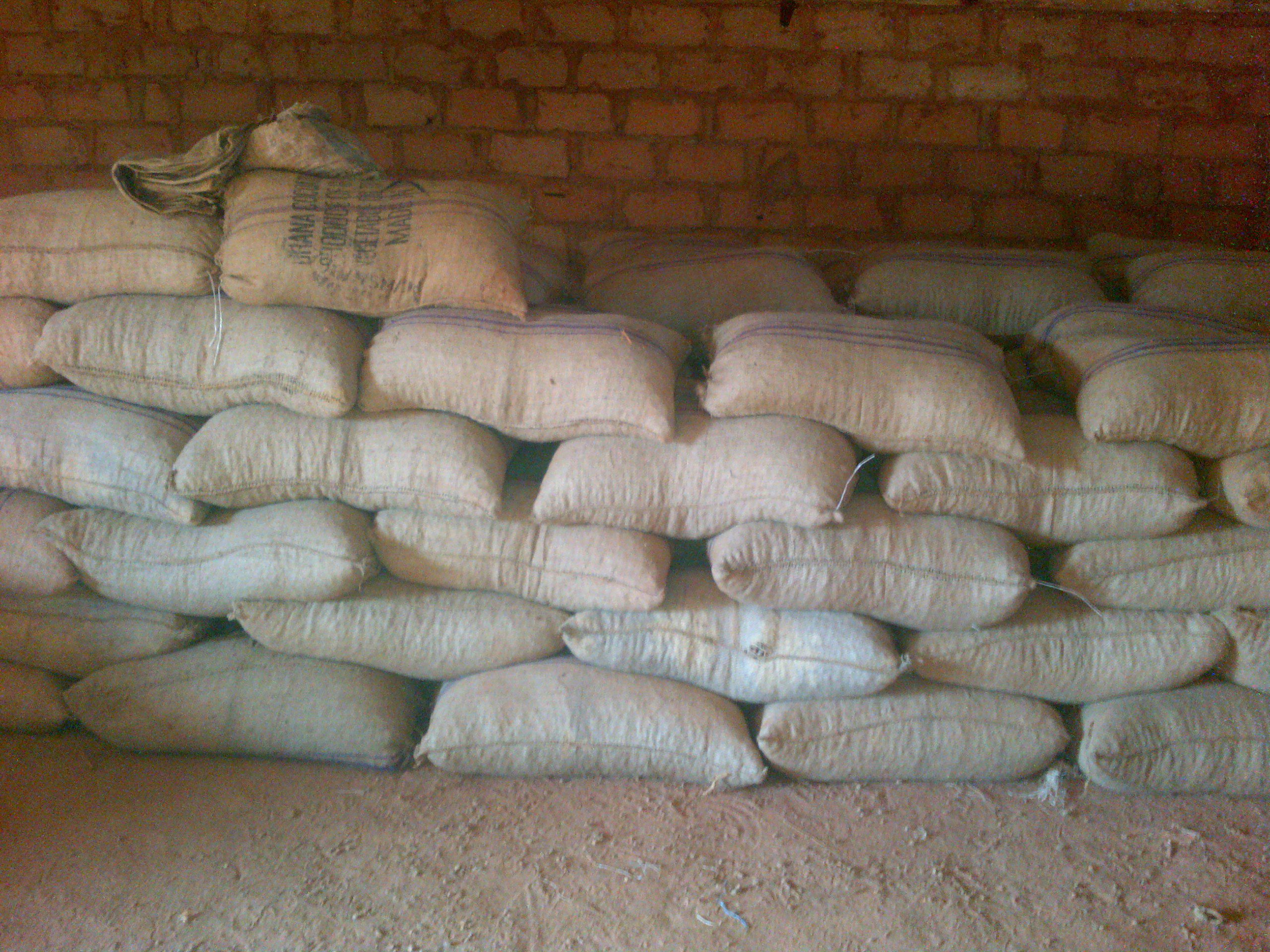 Cocoa / Cacao Beans - Image 3