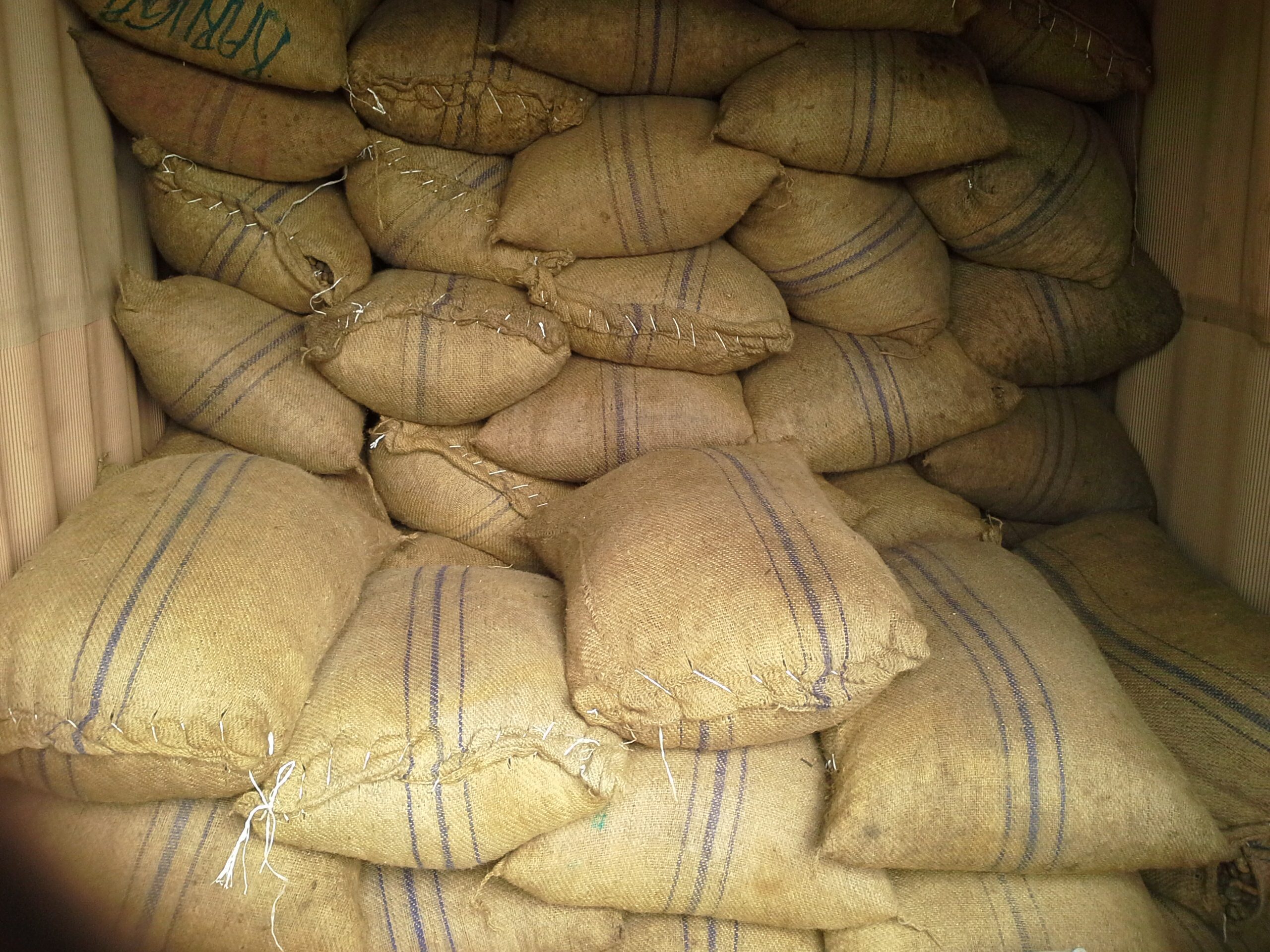 Cocoa / Cacao Beans - Image 5