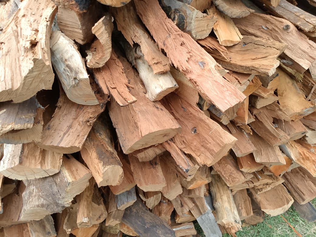 Firewood - Image 5