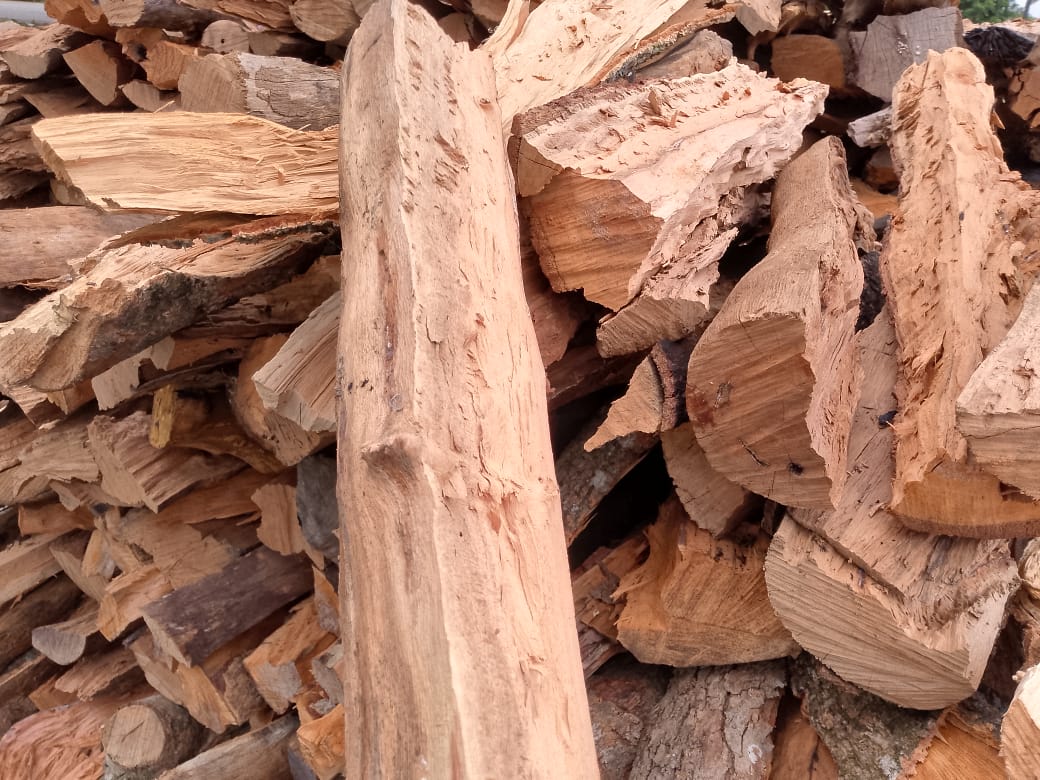 Firewood - Image 8